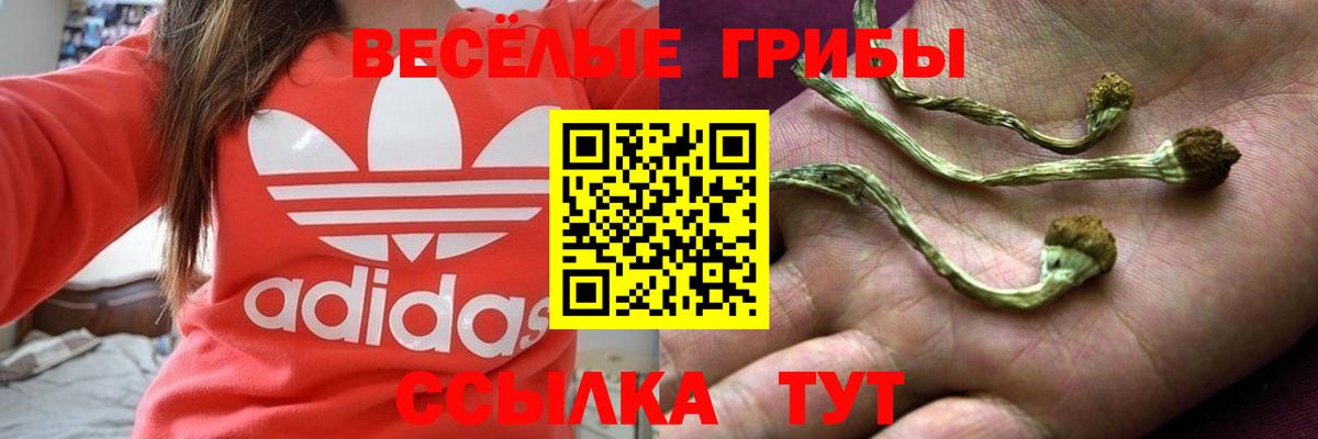 Псилоцибиновые грибы Magic Shrooms  Вход с VPN  Псилоцибиновые грибы прущие грибы  Вязьма 